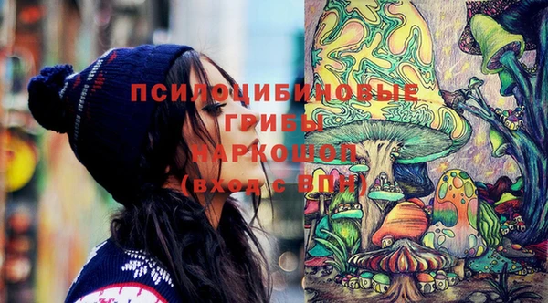 ALPHA PVP Надым